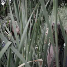 Escucha a alles ist alles, mira vídeos musicales, lee la biografía, consulta fechas de giras y mucho más.