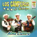 Alma Llanera