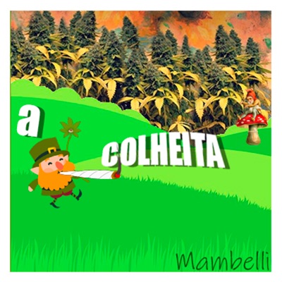 A Colheita - Single