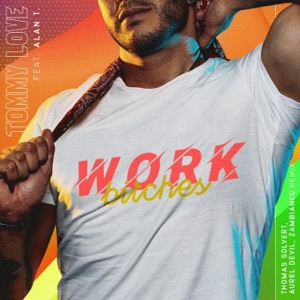 Work Bitches (Thomas Solvert, Aurel Devil & Zambianco Remix) [feat. Alan T] - Single