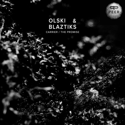 Carrier / The Promise - Single