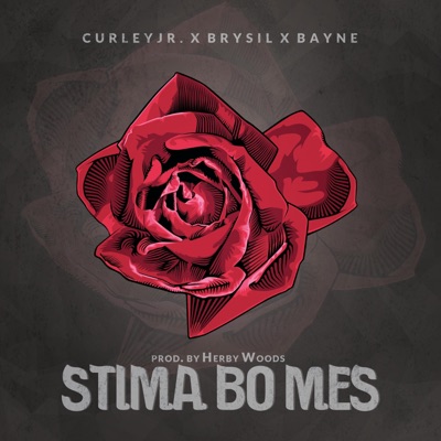 Stima Bo Mes (feat. Brysil & Bayne) - Single
