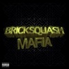 Bricksquash