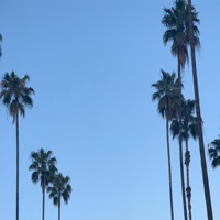 Beyond the Waves (feat. Codxinx & Djedi) - Single - Memphis.