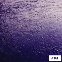 FnkyJoy - Single - DUX