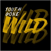 Youth Gone Wild artwork