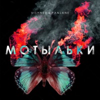 Мотыльки (feat. PanJane) - Single - VISHNEV