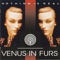 Henhouse - Venus In Furs lyrics