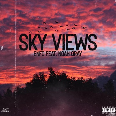 SkyViews (feat. Noah Gray) - Single