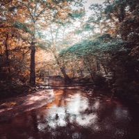 Tbh - Single - Austin Self