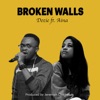 Broken Walls (feat. Aina) - Single