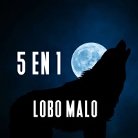 5 en 1 - Single - Lobo Malo