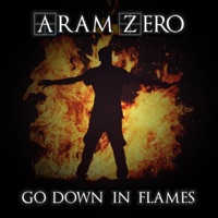 Go Down in Flames - Single - Aram Zero