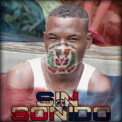 Sin Sonido "El Sistema" - Single