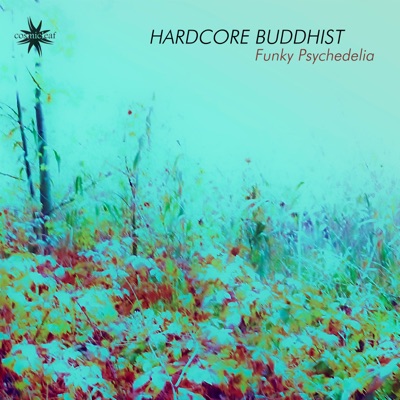 Funky Psychedelia - Single