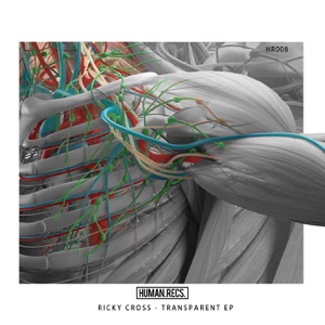 Transparent - EP