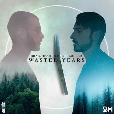 Wasted Years - Single