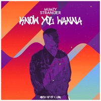 Know You Wanna - Single - Mumzy Stranger