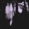 Charles Holme - Tarnishing Memories