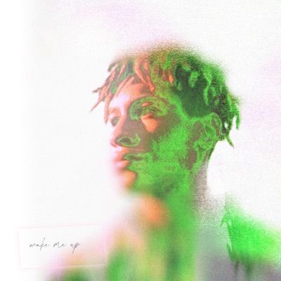 Wake Me Up - Single