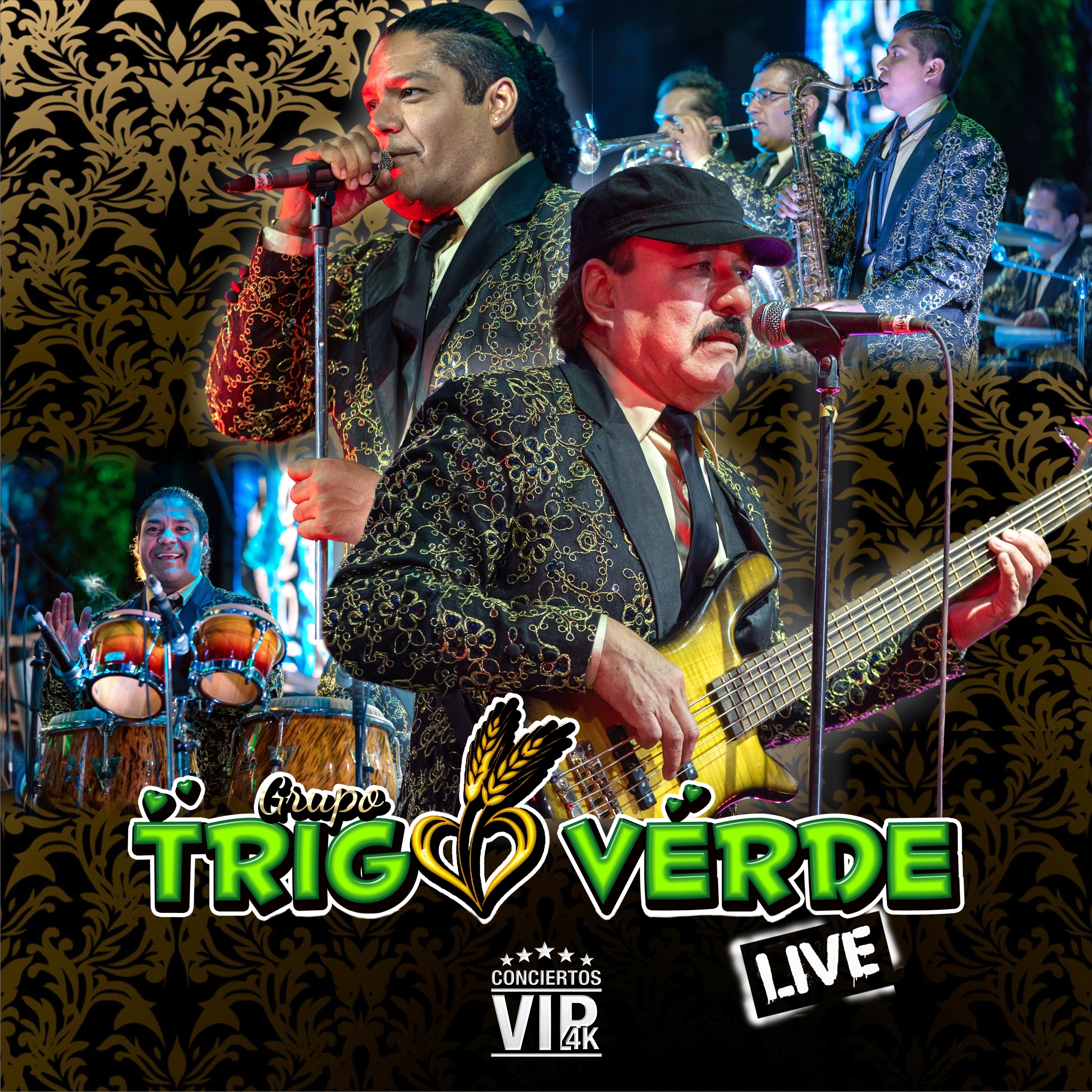 Conciertos Vip 4K (Live)