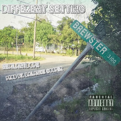 Different Setting - Single