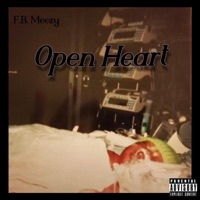 L.M.V. - Single - Fatboii Meezy