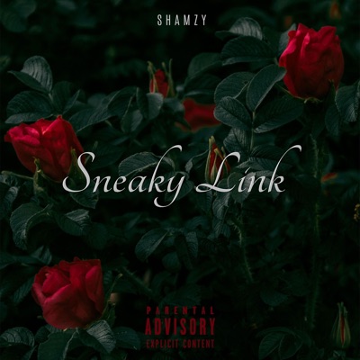 Sneaky Link - Single