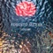 Shame - Augusto Meijer lyrics