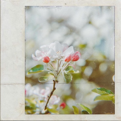 I Guess We're Alright - Single