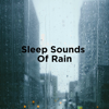 Sleep Sounds of Rain - Rain Sounds & Rain for Deep Sleep