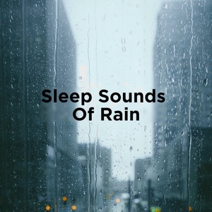 Sleep Sounds of Rain