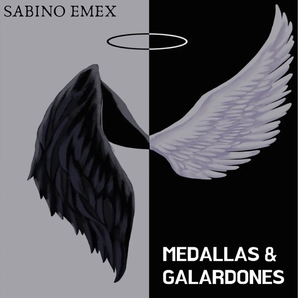 Medallas & Galardones