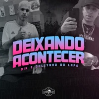 Deixando Acontecer - Single - Dj Dollynho da Lapa & Oik