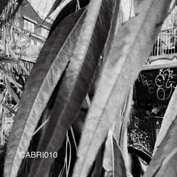 Cabri010 - Single