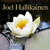Joel Hallikainen - Virta tietää missä meri on