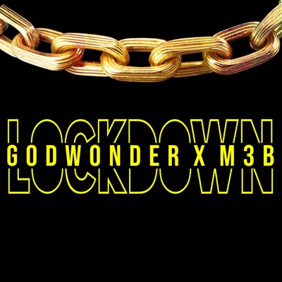 Lockdown (feat. Godwonder) - Single