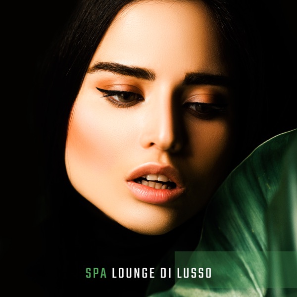 Spa lounge di lusso