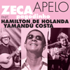 Apelo - Zeca Pagodinho, Hamilton de Holanda & Yamandu Costa