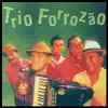 Trio Forrozão - Que Nem Vem Vem