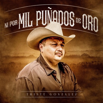 Ni Por Mil Puñados De Oro - Single