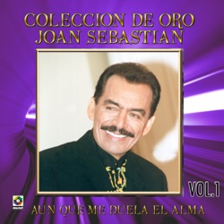 Joan Sebastian - Como Tú Decidas