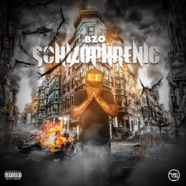 Schizophrenic Intro Beezo412