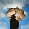 Looking Within