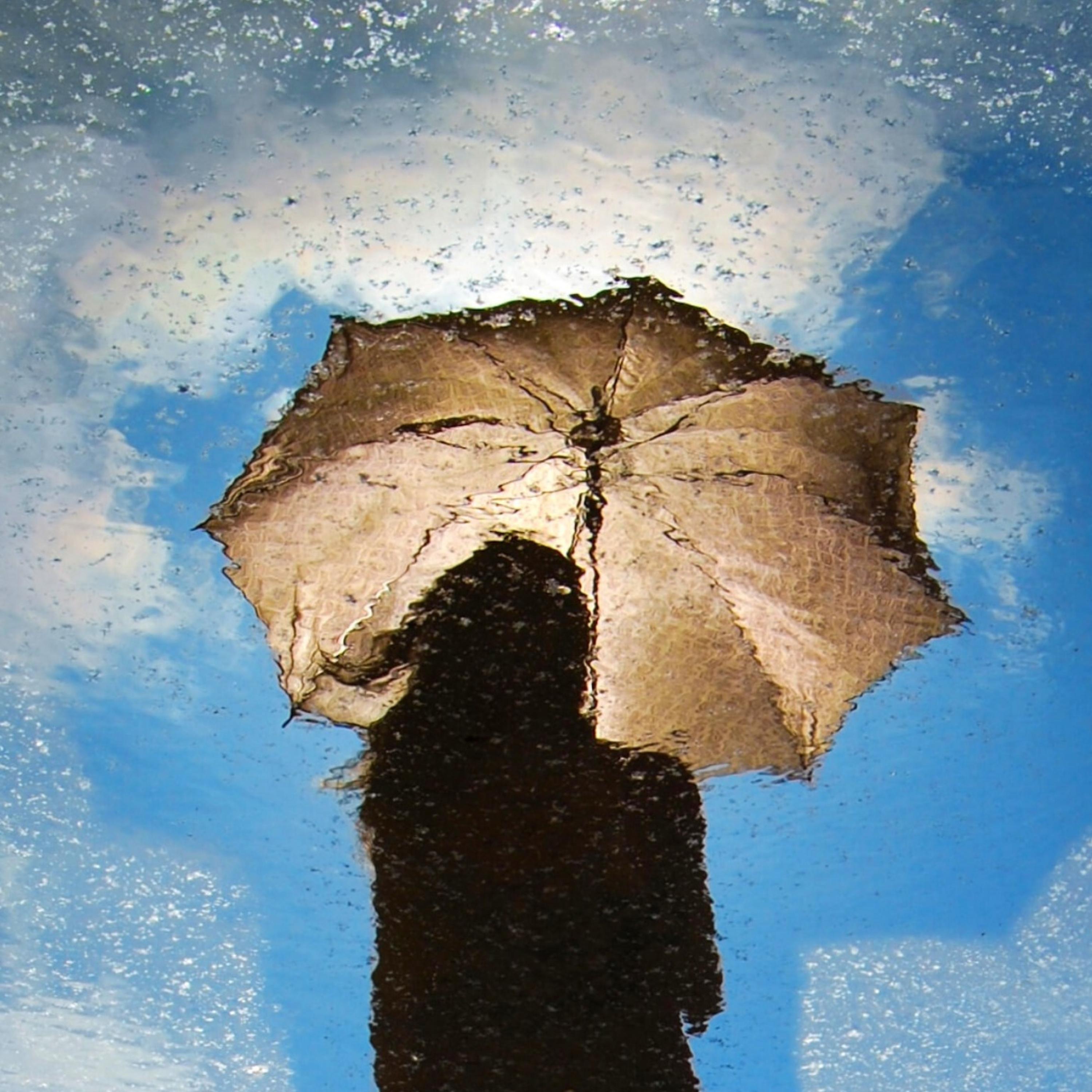 Reflections in the Rain - EP