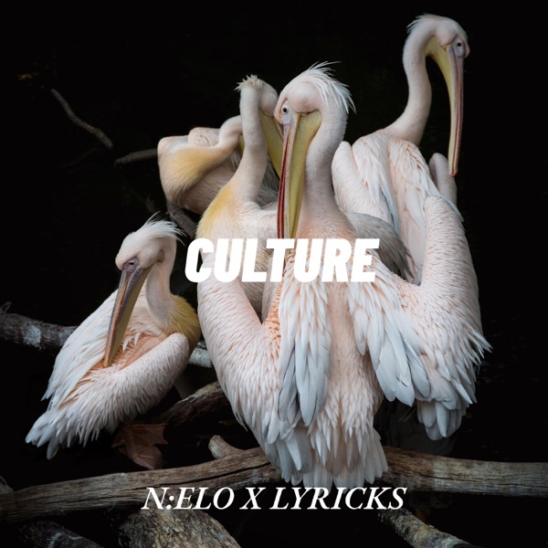 Culture (feat. Lyricks)