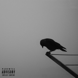 Fired Up - Single