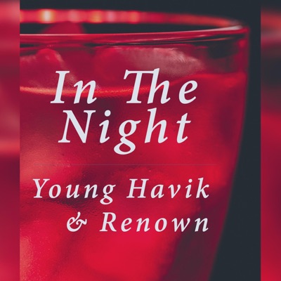 In the Night (feat. Young Havik) - Single