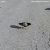 Tan Pequeñica Y Sincera - Single - Amaia