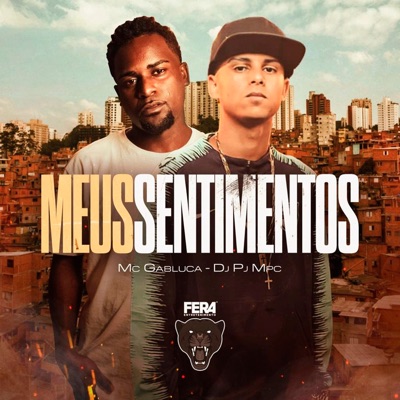 Meus Sentimentos - Single